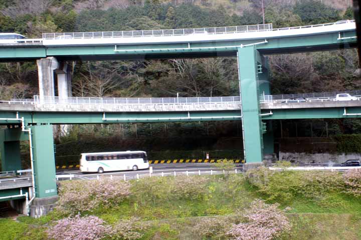 This picture is for quick loading of picture.