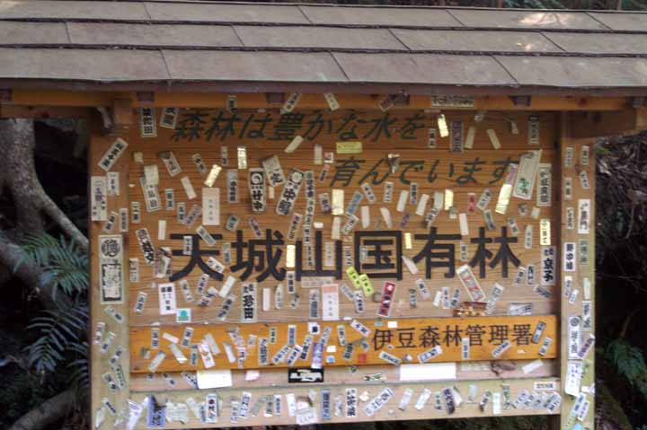 This picture is for quick loading of picture.