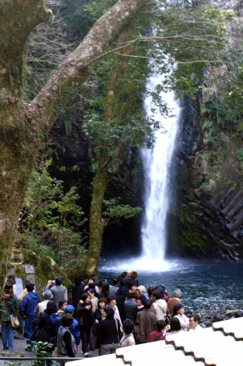 This picture is for quick loading of picture.