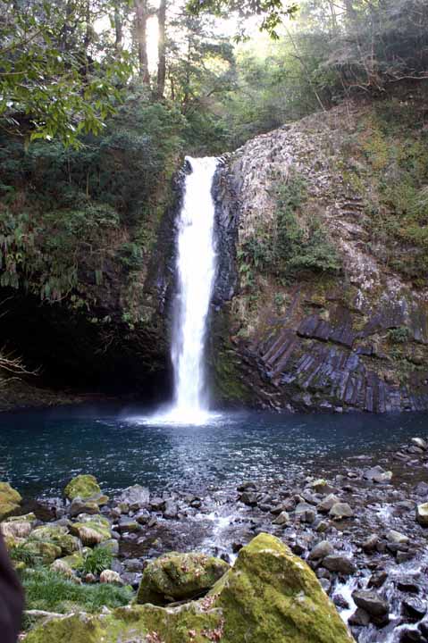 This picture is for quick loading of picture.