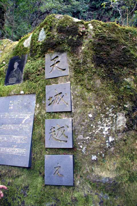 This picture is for quick loading of picture.