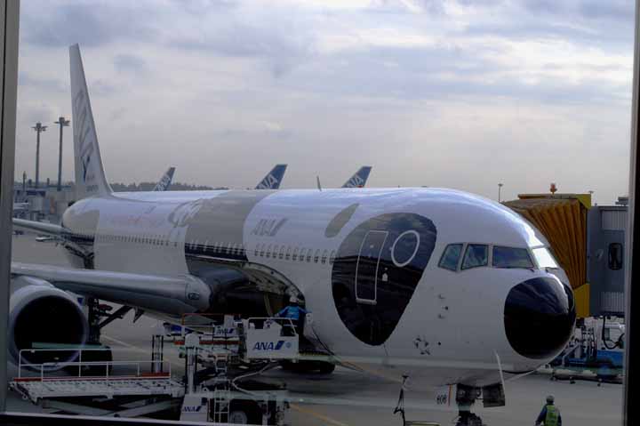 PICA5490.jpg
 ORG[720 x 479] NOW[ 720 x 479]
(�␳�O�{�����{���␳������100���ŕ\����)