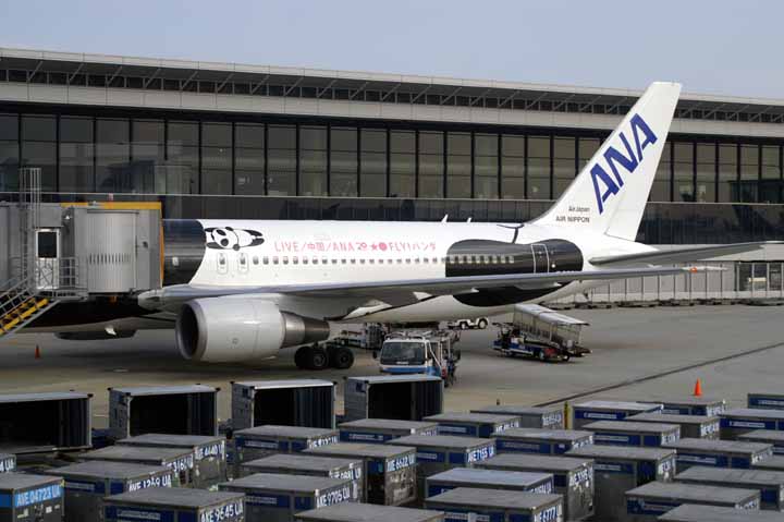 This picture is for quick loading of picture.