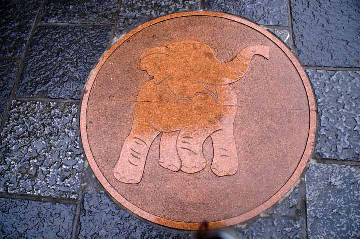 This picture is for quick loading of picture.