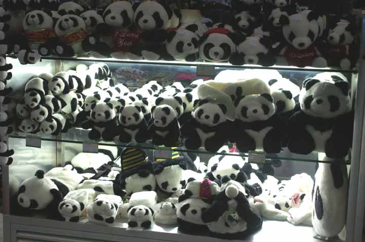 This picture is for quick loading of picture.