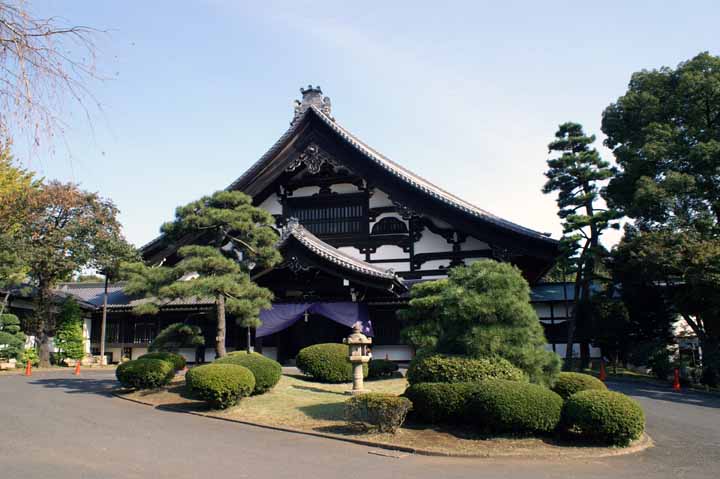 This picture is for quick loading of picture.