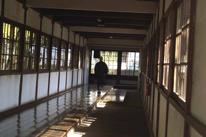 This picture is for quick loading of picture.