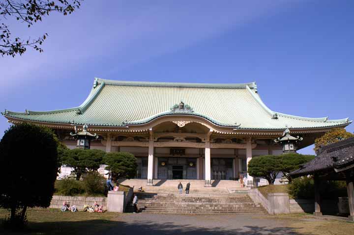 This picture is for quick loading of picture.