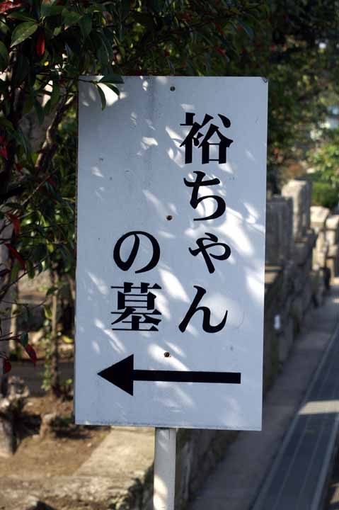 This picture is for quick loading of picture.