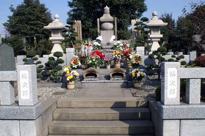 This picture is for quick loading of picture.