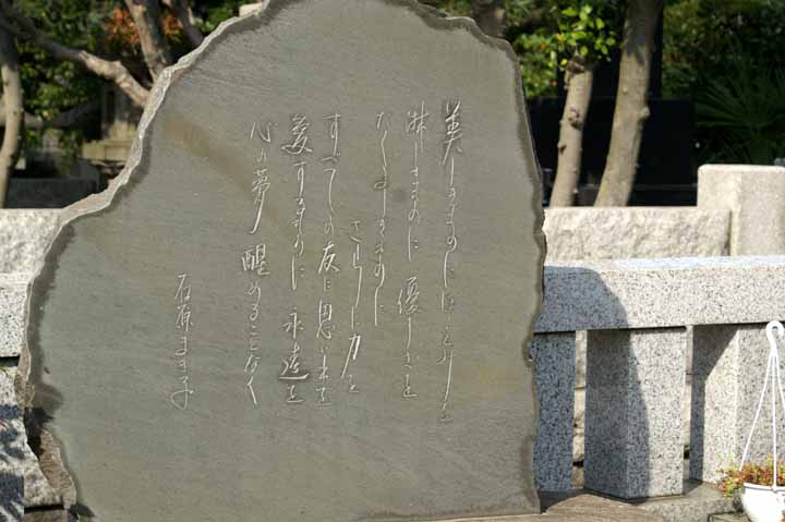 This picture is for quick loading of picture.