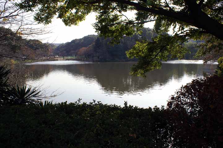 This picture is for quick loading of picture.