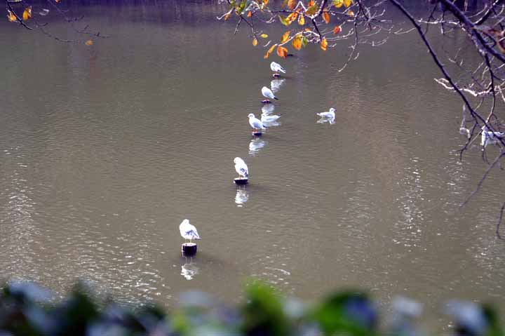 This picture is for quick loading of picture.