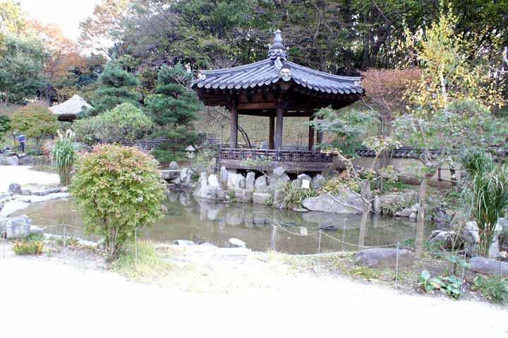 This picture is for quick loading of picture.