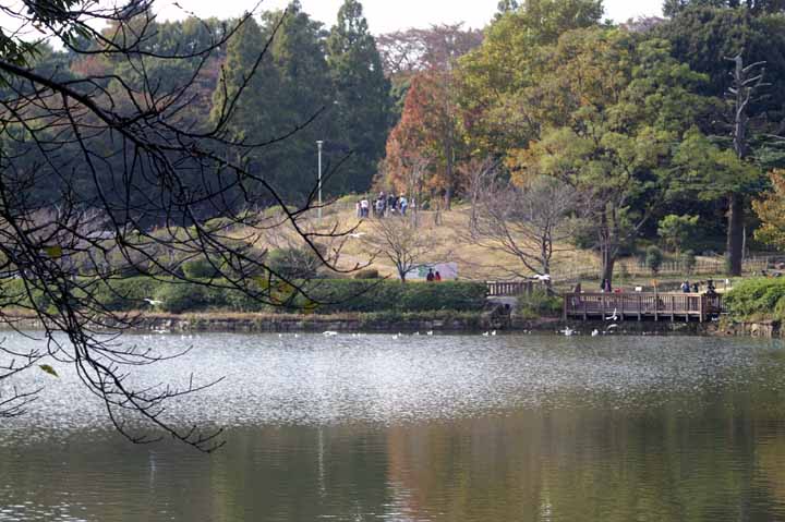 This picture is for quick loading of picture.