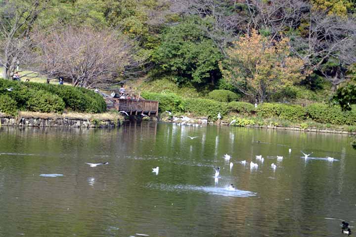 This picture is for quick loading of picture.