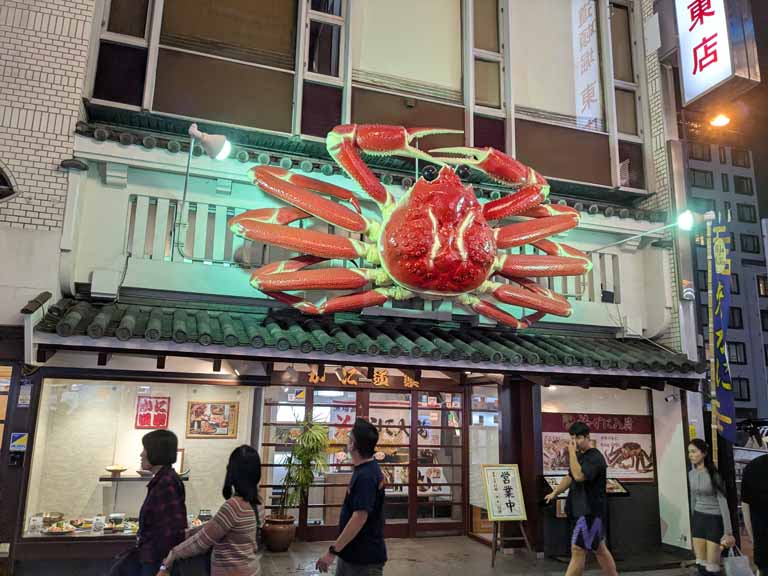 DSC01525.jpg
 ORG[768 x 576] NOW[ 706 x 529]
(�␳�O�{��93���{���␳������91���ŕ\����)