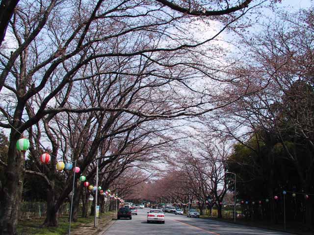 IMG_0087.jpg
 ORG[640 x 480] NOW[ 640 x 480]
(�␳�O�{�����{���␳������100���ŕ\����)