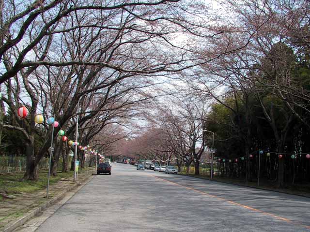 This picture is for quick loading of picture.