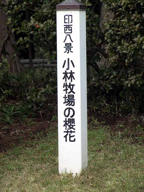 This picture is for quick loading of picture.