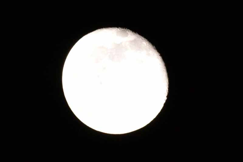 PICT1739.jpg
 ORG[800 x 532] NOW[ 800 x 532]
(�␳�O�{�����{���␳������100���ŕ\����)