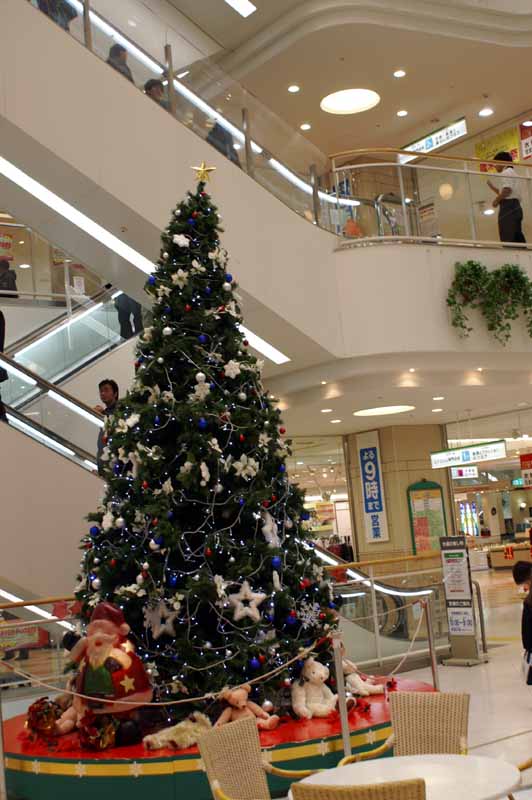 This picture is for quick loading of picture.