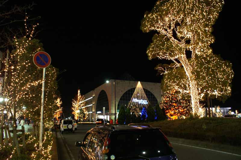 This picture is for quick loading of picture.