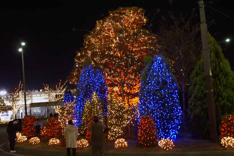 This picture is for quick loading of picture.