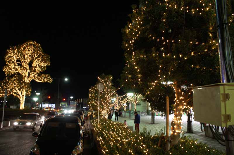 This picture is for quick loading of picture.