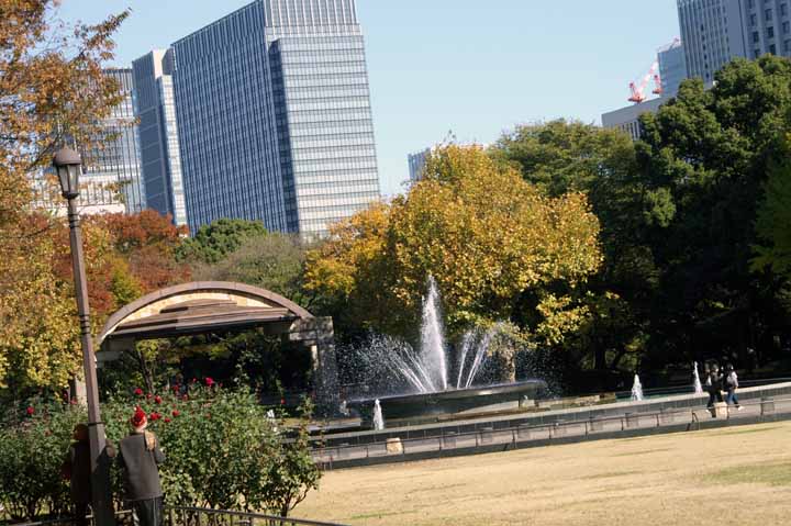 This picture is for quick loading of picture.