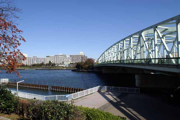 This picture is for quick loading of picture.