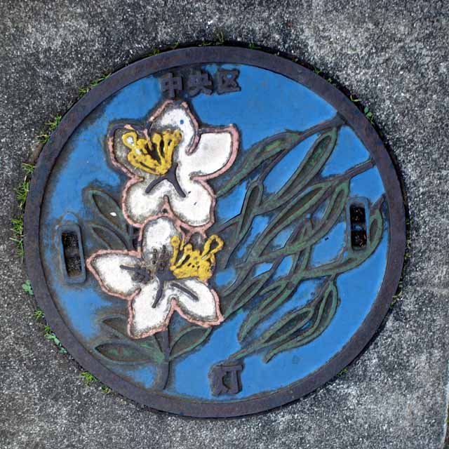 This picture is for quick loading of picture.