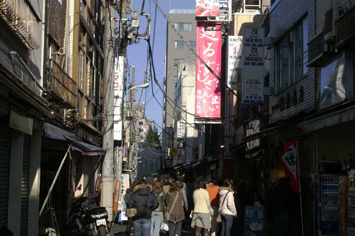 This picture is for quick loading of picture.