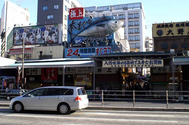 This picture is for quick loading of picture.