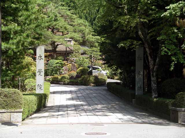 This picture is for quick loading of picture.