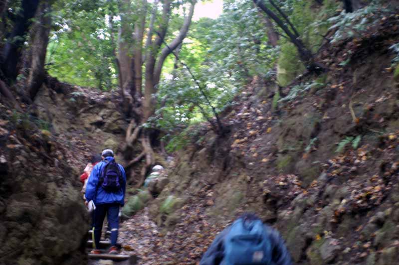 This picture is for quick loading of picture.