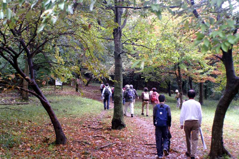 This picture is for quick loading of picture.