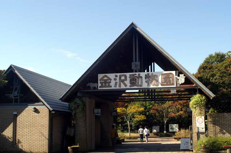 This picture is for quick loading of picture.