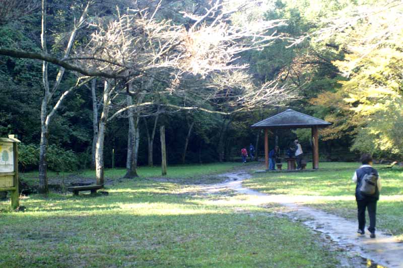 This picture is for quick loading of picture.