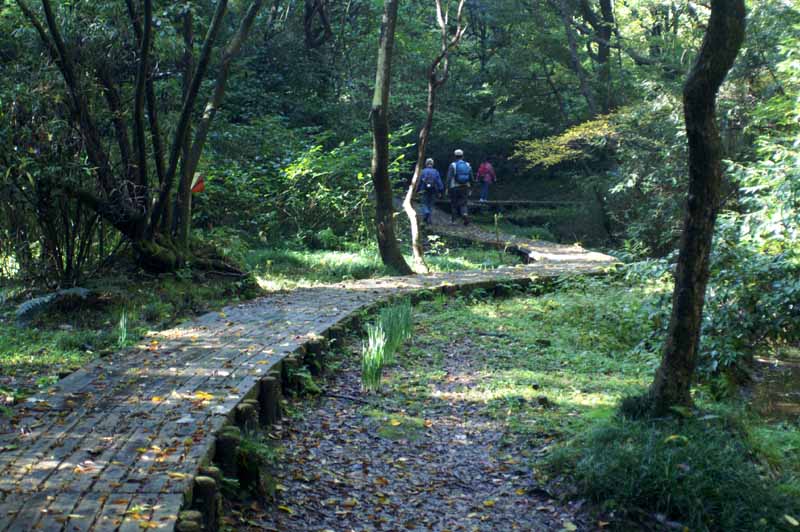 This picture is for quick loading of picture.