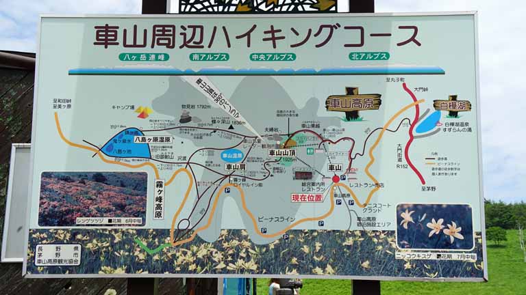 This picture is for quick loading of picture.