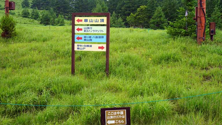 This picture is for quick loading of picture.