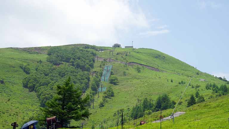 This picture is for quick loading of picture.