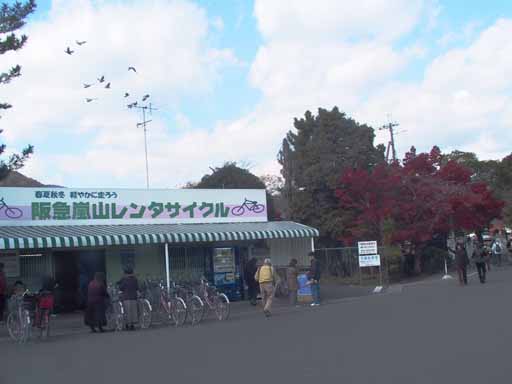 This picture is for quick loading of picture.