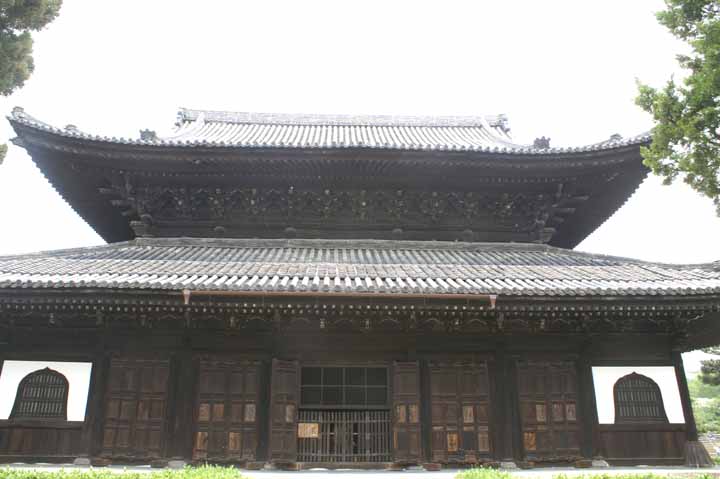 This picture is for quick loading of picture.