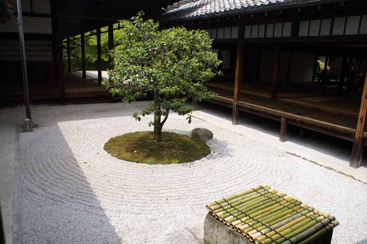 This picture is for quick loading of picture.