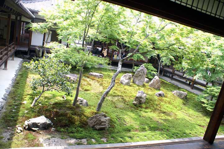 This picture is for quick loading of picture.