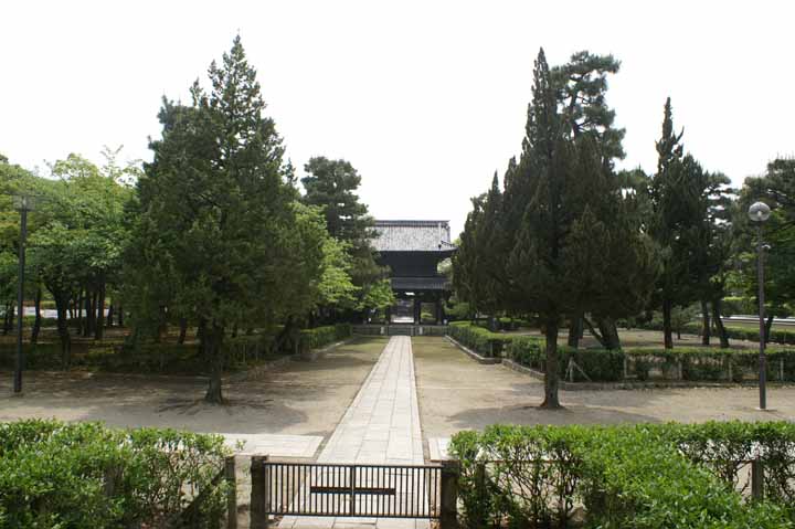 This picture is for quick loading of picture.