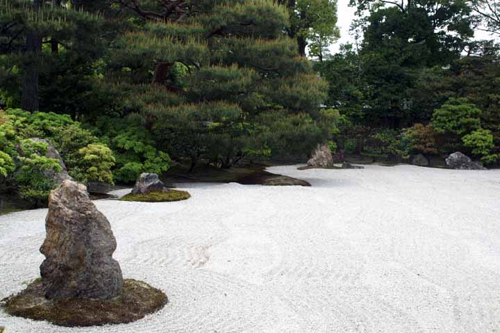 This picture is for quick loading of picture.