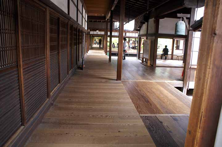 This picture is for quick loading of picture.